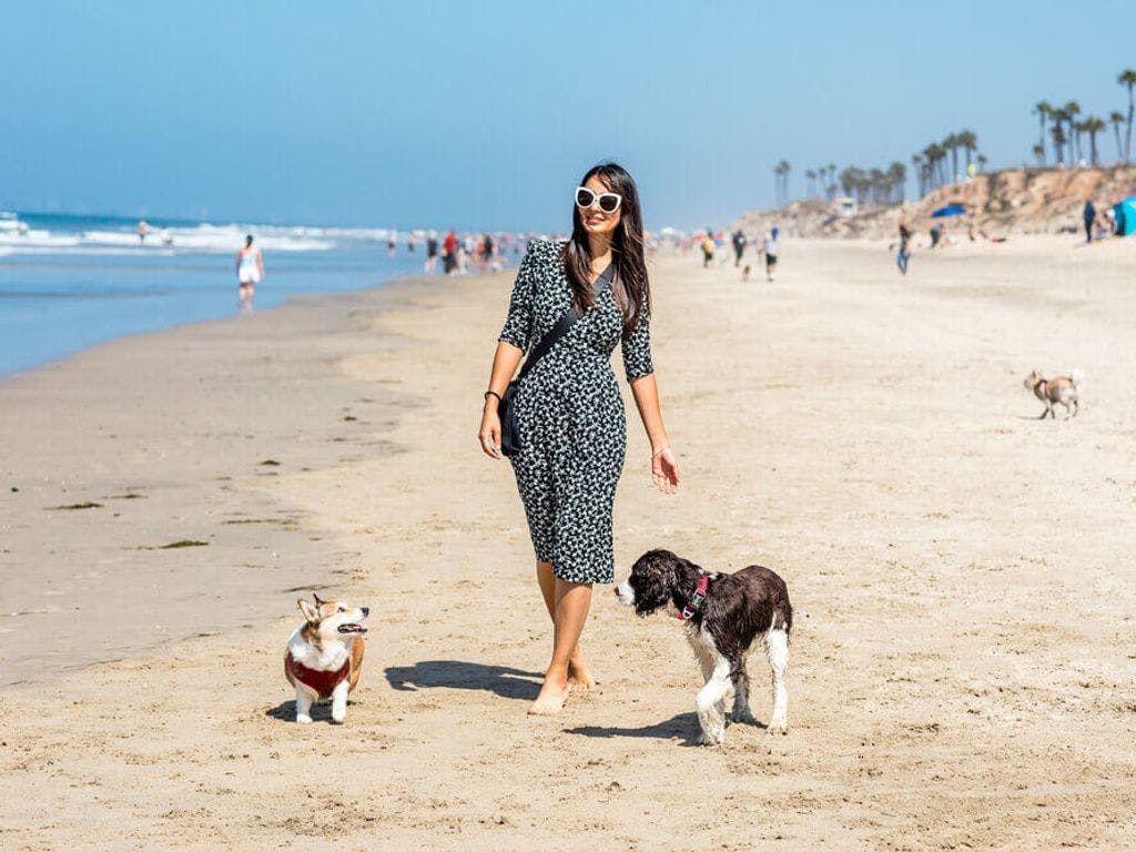 woman walking on the beach with her two dogs