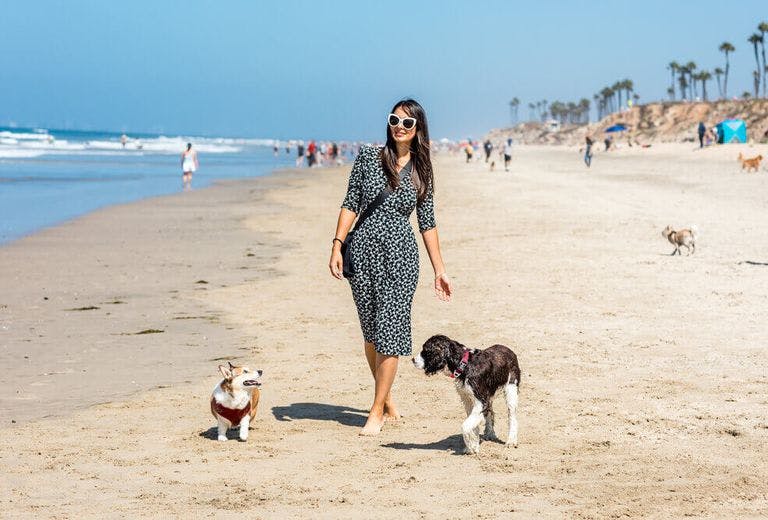 woman walking on the beach with her two dogs